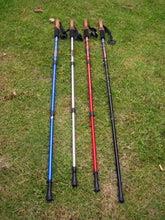 Adjustable 3 Section Trekking Pole - Walking Stick - FitPug.com