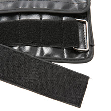 One Pair - Adjsutable Weights Strap - FitPug.com