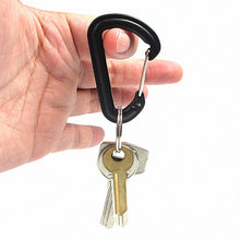 5 Plastic Carabiner D-Ring Key Chains - FitPug.com
