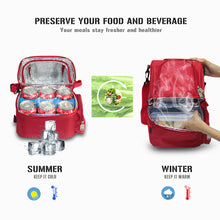USB Heated Insulated Lunch Bag, Warm & Cold Regimes - FitPug.com