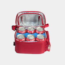 USB Heated Insulated Lunch Bag, Warm & Cold Regimes - FitPug.com