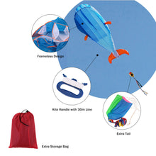 Giant 3D Dolphin Kite with 30M Handle Line - FitPug.com
