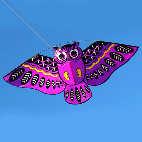 43x20 Inch Colorful Cartoon Owl Kite with 50M Line - FitPug.com