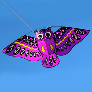 43x20 Inch Colorful Cartoon Owl Kite with 50M Line - FitPug.com