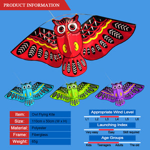 43x20 Inch Colorful Cartoon Owl Kite with 50M Line - FitPug.com