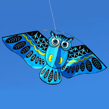 43x20 Inch Colorful Cartoon Owl Kite with 50M Line - FitPug.com