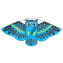 43x20 Inch Colorful Cartoon Owl Kite with 50M Line - FitPug.com