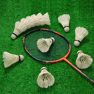12 Badminton Duck Feather Shuttlecocks Set with a Storage Tube - FitPug.com