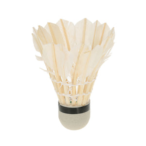12 Badminton Duck Feather Shuttlecocks Set with a Storage Tube - FitPug.com