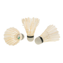 12 Badminton Duck Feather Shuttlecocks Set with a Storage Tube - FitPug.com