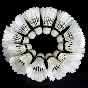 12 Badminton Shuttlecocks White Teal Feather - FitPug.com
