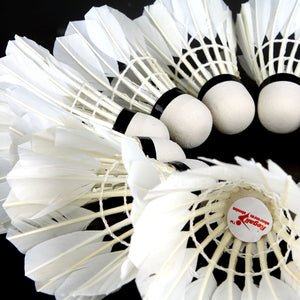 12 Badminton Shuttlecocks White Teal Feather - FitPug.com