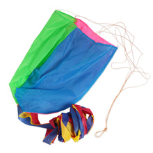 Giant 3D Dolphin Kite with 30M Handle Line - FitPug.com
