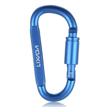 6 Key Chain Carabiner D-Rings - FitPug.com